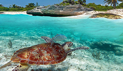 Akumal